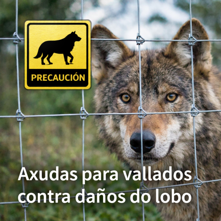 Axudas económicas aos custos derivados da instalaciónde valados fixos para a prevención dos danos que poida ocasionaro lobo – MT809F