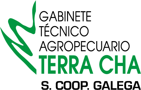 Gabinete Terra Cha